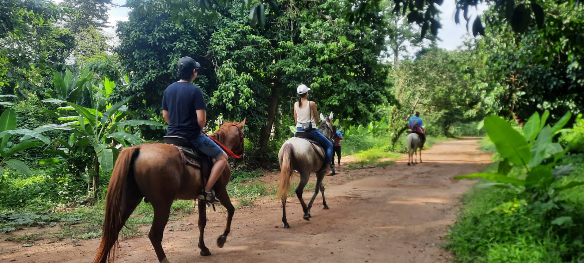 ขี่ม้าชมธรรมชาติ Horse Trail Riding นครนายก